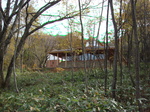 DSC08877.JPG
